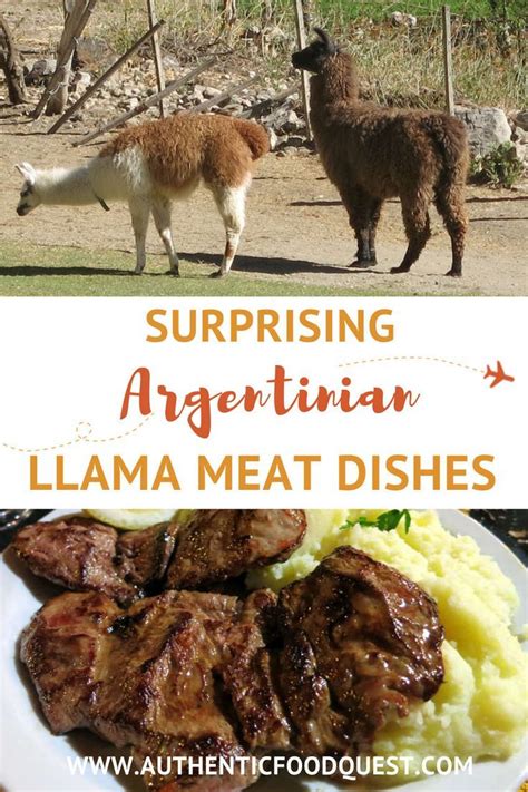 Llama meat 5 authentic dishes from the andes that will surprise you – Artofit