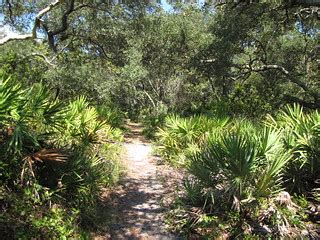 Florida Trail Thru Oak scrub | Lower Wekiva Loop Trail Flori… | Flickr