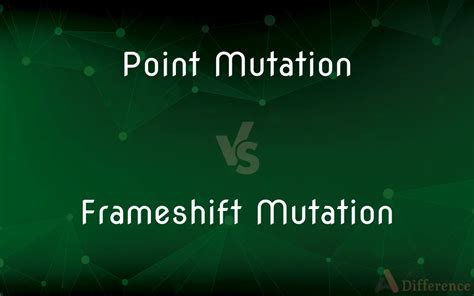 Point Mutation vs. Frameshift Mutation — What’s the Difference?