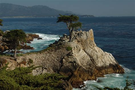 Lone Cypress, Pebble Beach- I love the 17-mile Drive, so beautiful! In addition to the scenery ...