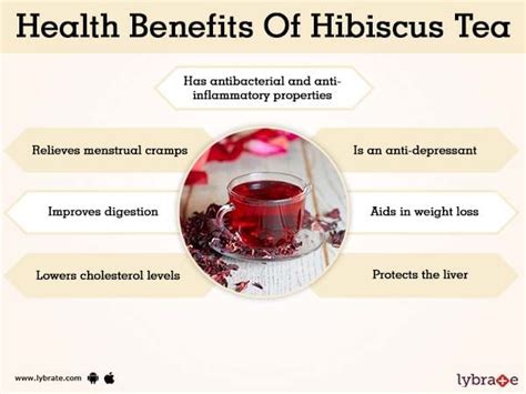 Hibiscus Flower Tea Benefits | Best Flower Site