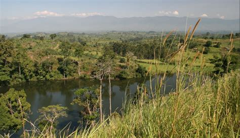 Ndali-Kasenda Crater Lake harbors fertile soils that are used for ...