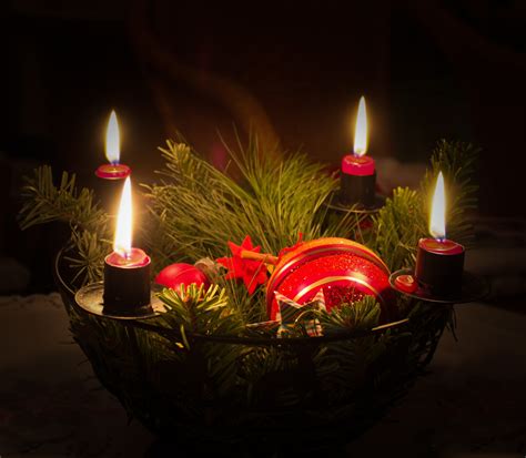 Free Images : night, flower, holiday, lighting, christmas tree ...