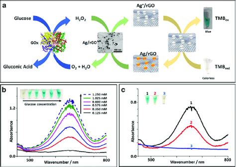 12 a The principle of operation of the glucose biosensor based on ...