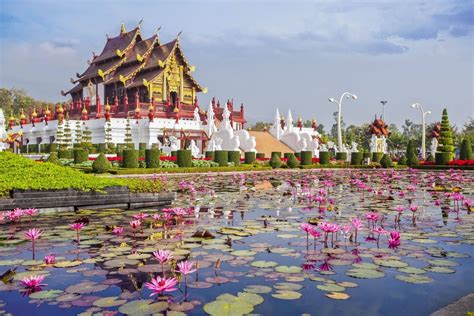 Ratchapruek garden, Chiang Mai | Chiang mai, Thailand, Phuket