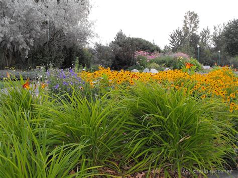 we-love-kamloops: Xeriscape ~ Desert ~ Cactus ~ Gardening