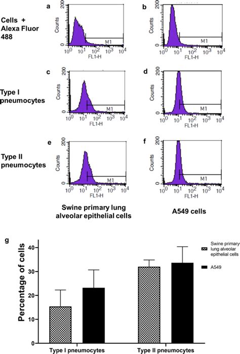 Figure 1 from Development and characterization of swine primary ...