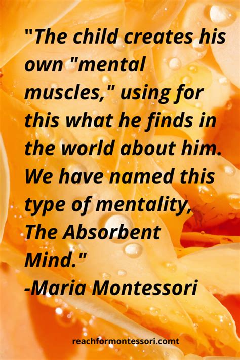 What is the Absorbent Mind in Montessori? — The Montessori-Minded Mom