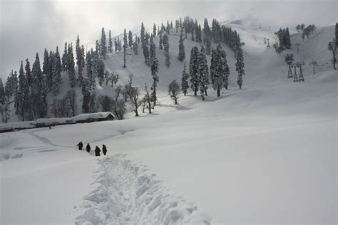 Kashmir records a full house this winter season | Times of India Travel