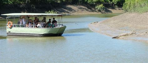 Whitsunday Crocodile Safari - Whitsunday Wildlife Tour, River Cruise