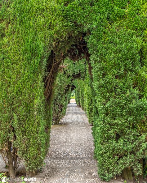 Alhambra Gardens and Generalife | A Tour Through Paradise