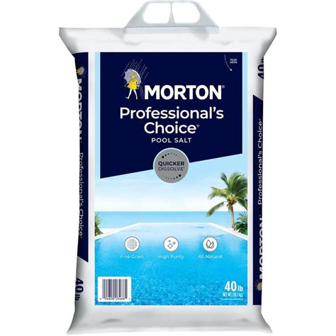 Shop Morton Professional Choice 40-lb Pool Salt at Lowes.com