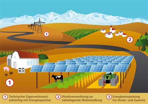 Agrophotovoltaics augmente le rendement de l'utilisation des sols agricoles de plus de 60% ...