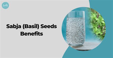 11 Health Benefits of Sabja Seeds (Basil Seeds) | Livofy