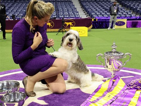 The Westminster dog show winner is the first of its breed to be thrown a bone