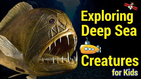 🎬 Deep Sea Creatures For Kids | Educational Videos (Series 1 of 1 ...