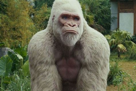 'Rampage' Star Jason Liles Tells Us Why Dwayne Johnson Was His 'Han ...