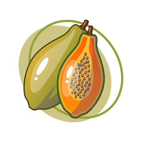 Premium Vector | Papaya fruit drawing illustration design