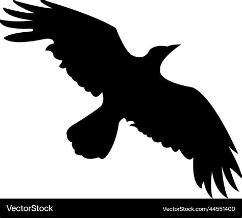 Raven silhouette Royalty Free Vector Image - VectorStock