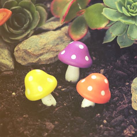 Technicolour Toadstools – Garden Fairy Creations