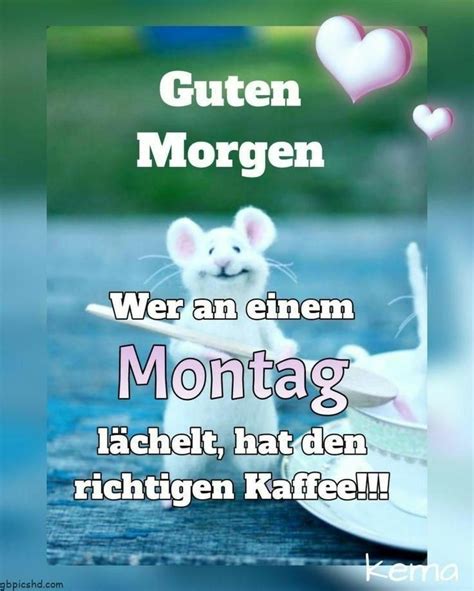 guten morgen montag bilder lustig | Guten morgen montag bilder, Guten morgen montag, Guten ...