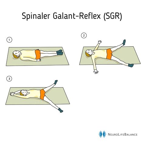 Artikel-Serie: Primitive Reflexe