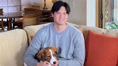 Has the Shohei Ohtani dog mystery been solved?