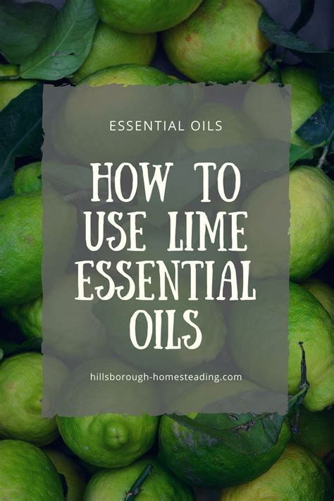 Lime essential oil has a dozen uses and benefits, from cleaning, to ...