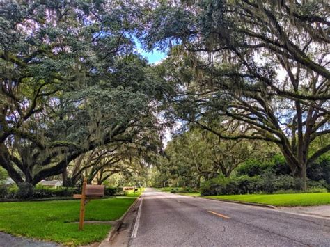 Beautiful scenery in Ocala Historic District - Ocala-News.com