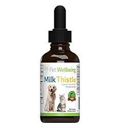 Milk Thistle Dosage Calculator - How much Milk Thistle can you give a dog?