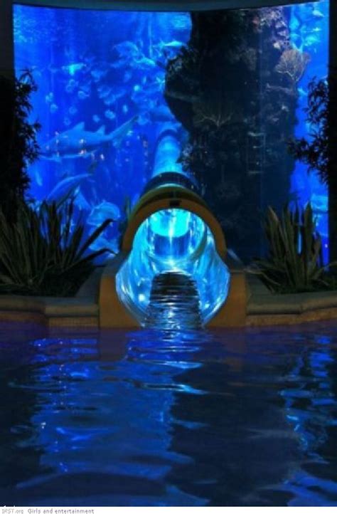 The greatest water slides