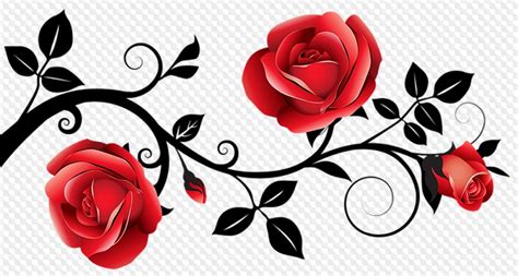 31 PNG, Flower borders on transparent background