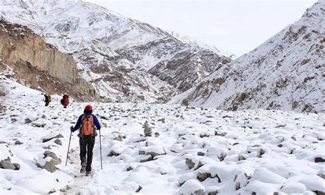 Snow Leopard Trek 2024- A Popular Trek in Ladakh