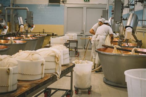 Cheese Factory Tour in Florence | Foods of Florence