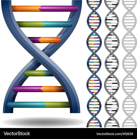 Dna Royalty Free Vector Image - VectorStock