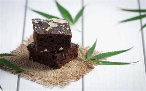 Exploring the World of Cannabis Edibles - GrowBarato Blog