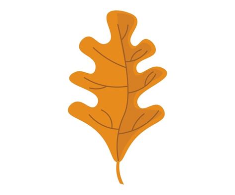 Premium Vector | Autumn leaves