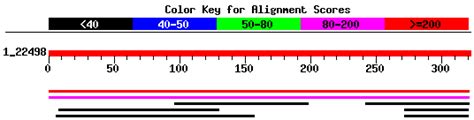 Distribution of 8 Blast Hits on the Query Sequence