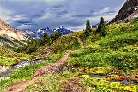 High Mountain Trail Photograph by Kathleen Bishop