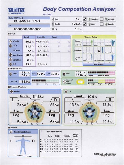 Body Fat Calculator and Weight Scale | My Trainer Fitness