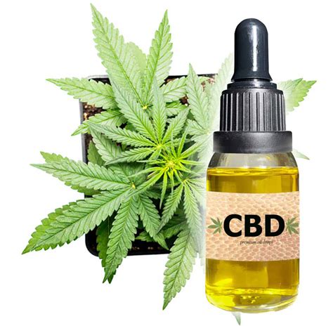 CBD PLAIN hemp oil, 0% THC, 97% CBD – Superb CBD