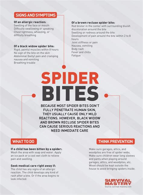 Spider Bites Treatment: Emergency and Preventative Care