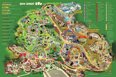 San Diego Zoo, California - Park Map on Behance