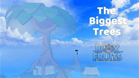 Biggest trees in each Sea[Blox Fruits] - YouTube