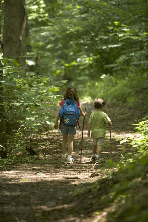 Free photograph; children, hiking, forest