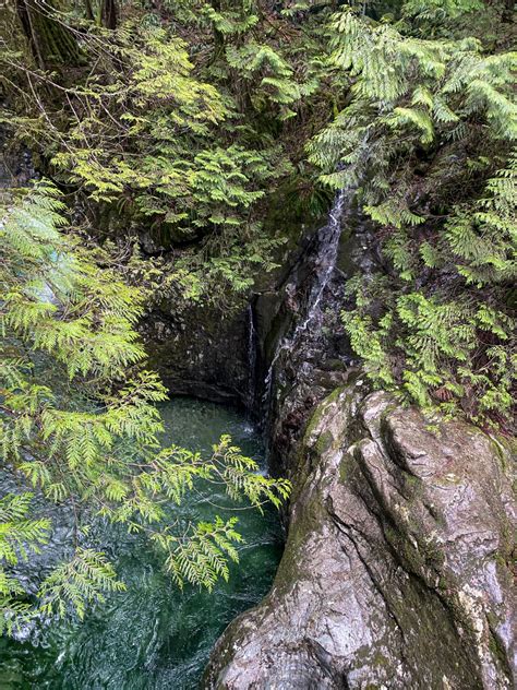 Guide to Lynn Canyon Suspension Bridge - Maddie Deer