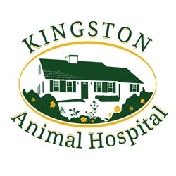 Kingston Animal Hospital | Kingston MA