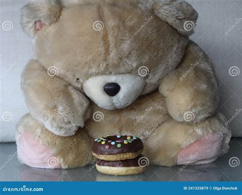 Fat Teddy Bear in Front of Doughnuts Stock Image - Image of tempting ...