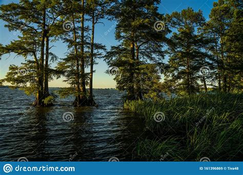 Reelfoot Lake State Park stock image. Image of reelfoot - 161396869