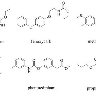 Structures of carbamate insecticides. | Download Scientific Diagram